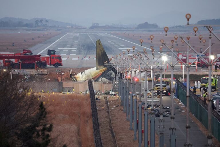 South Korea Jeju Air Plane Crash Report: Bird Remains Found in Engines, Cause Yet to Be Revealed