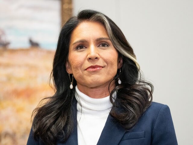 Tulsi Gabbard Passes Senate Committee Vote, Paving Way to DNI Confirmation