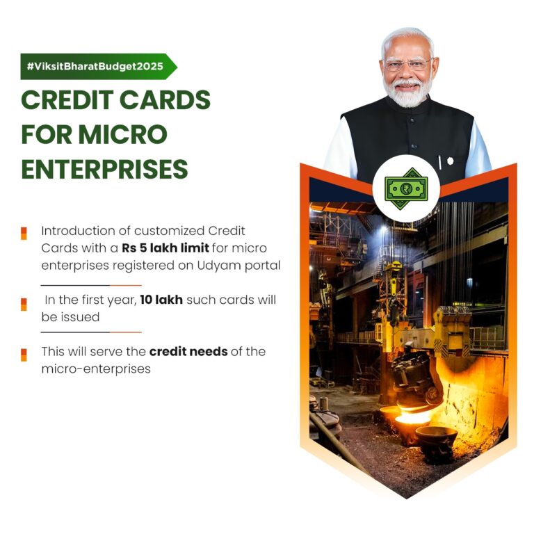 Customized Credit Cards with ₹5 Lakh Limit for Micro Enterprises: FM Nirmala Sitharaman’s Bold Move in Budget 2025